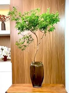 LZD Drunk Horse Hydroponic Selected Plants Fresh Cut Branch Bell Indoor Decorative Greenery Sf