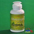 Moringa (Malunggay) 3-Bottle 500mg 120caps by Revglow. 