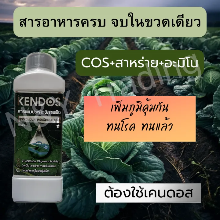 Kendos วัคซีนพืช ช่วยให้พืชติดผลดก ลดโรค