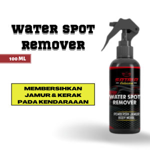 Water spot Remover Bug Remover Pembersih jamur Body mobil