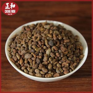 女贞子 Glossy Privet Fruit 200g Herba Cina kering