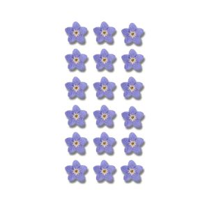 J2UQR3 DIY Candle Making Jewelry Natural Artificial flowerss Dont Forget Me Pressed Flower Forget-Me-Not