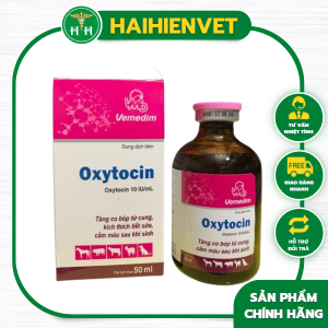 50ml Oxytocin -tăng co bóp tử cung cầm m.áu sau sinh tăng tiết sữa trên chó mèo heo dê cừu trâu bò ngựa