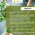 Pestisida Topfarm / Obat Hama Untuk Buah Dan Sayuran / Obat Hama Daun Sayuran /Obat Hama Kutu Daun Sayuran Pare / Obat Hama Sayuran Dan Pupuk Buah / Obat Daun Untuk Tanaman Sayuran / Obat Hama Sayuran Kumbang Daun. 