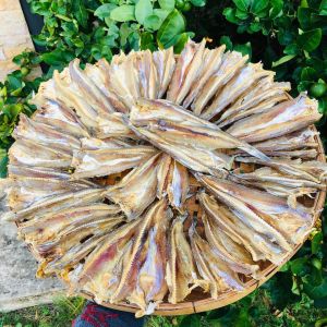 ปลาซ่อนทะเล 2 แดด > คละไซค์ 3 กิโลกรัม ( แพ็คละ ครึ่งกิโล 6 แพ็ค)