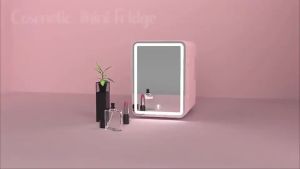 SG 6L/8L/15L/20L Mini Fridge With Led Lights Mirror Skin Care Refrigerator Portable Freezer Hot And Cold Car And Home