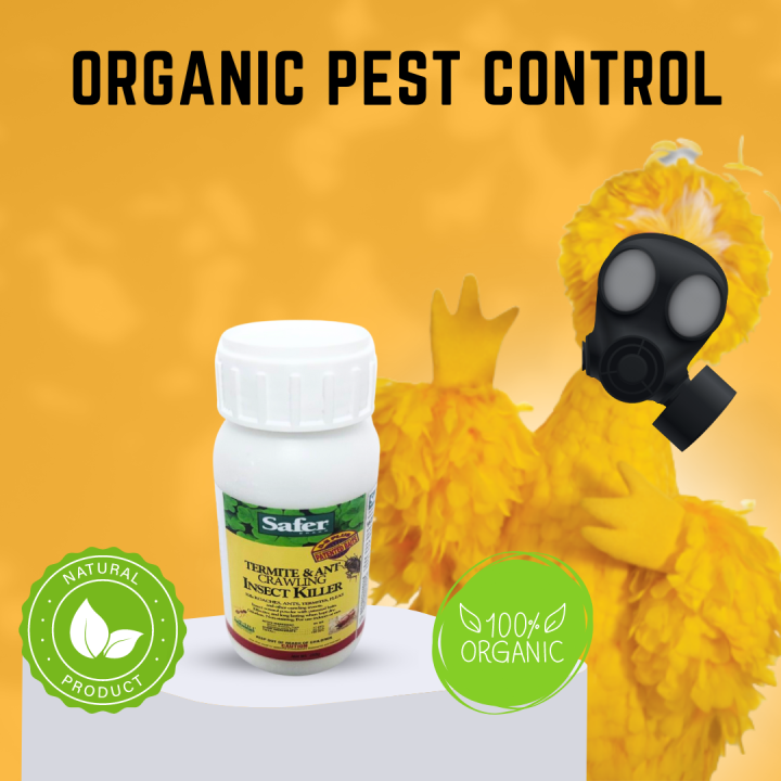 SAFER BRAND DIATOMACEOUS EARTH ORGANIC PEST CONTROL Lazada PH