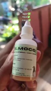 Tilmoco25 50ml Anti-Infectious/Anti-Bacterial Drops For Coryza Fowl Cholera Coccidiosis Sipon Wel