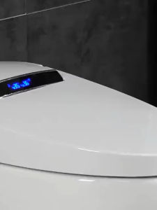 Bồn cầu thông minh nhập khẩu