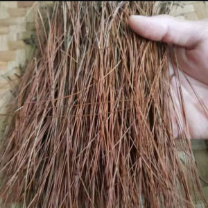 HERBAL JAMU TERLARIS DAUN PINUS KERING 500 GRAM