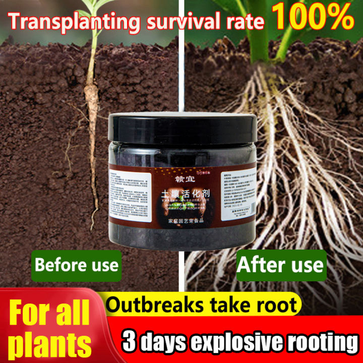 Rooting Powder Root Seedling Germination Aid Flower Anther Fertilizer ...