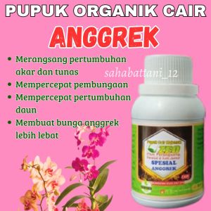 Pupuk anggrek bulan vitamin anggrek agar cepat berbunga