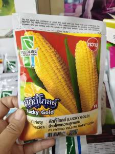 เมล็ดพันธุ์ข้าวโพดหวานลูกผสม ลักกี้โกลด์ ฝักสวย ตรง ทรงกระบอก เมล็ดเต็มฝัก เรียงตัวสวย เปลือกหุ้มทั้งฝัก รสชาติหวาน น้ำหนักเฉลี่ย 450-500 กรัมต่อฝัก ทนราน้ำค้างและโรคใบไหม้แผลใหญ่ได้ดี ติดฝักกลางลำต้น ฝักยาวประมาณ 19-22 ซม. **เมล็ดล็อตใหม่** ส่งฟรี