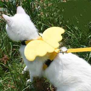 Chest strap puppy leashes kitten leashes angel wings cat leashes pet leashes dog walking cat leashes