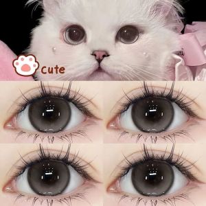 Fashion Glasses （6months）0-800 Degree Daily Colored Eyes with Power（Loose Piece）naturally Enlarge Your Eyes Hot Sale Big Eyes Love Eyes Black Brown Ultraviolet-proof【千漫】萝莉娃娃14.5大直径学生党推荐自然通勤爆款眼镜