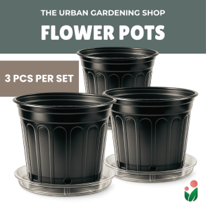3-Pcs Plastic Flower Pot Set with Drainage Holes | Outdoor Indoor Plant Pots with Optional Saucers