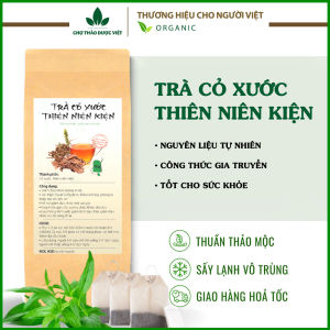 Trà thiên niên kiện cỏ xước túi lọc giảm đau nhức xương khớp phong tê thấp thoái hóa khớp cột sống