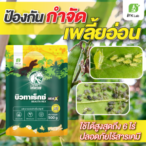 ป้องกันและกำจัด >เพลี้ยอ่อน< เพลี้ยแมลงศัตรูพืชทุกชนิด บิวทาเร็กซ์ บิวเวอร์เรีย+เมธาไรเซียม ปลอดภัยต่อคนและสิ่งแวดล้อม บิวทาเร็กซ์แม็กซ์ 500 กรัม เชื้อเข้มขึ้น 2 เท่า