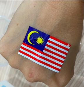 10pcs TEMPORARY TATTOO STICKER MALAYSIA FLAG FOR FACE AND BODY ART