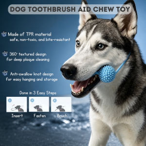 Dog Toothbrush Aid with Interactive Rope Dental Cleaning Molar Bone Dog Chew Stick for Pet Oral Care