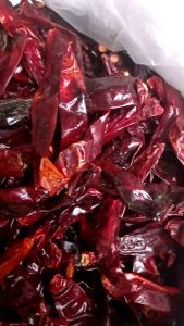 CABE MERAH KERING KUALITAS BAGUS TANPA TANGKAI