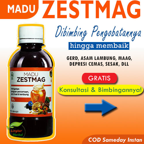 Madu Zestmag Obat Asam Lambung Asli Original Kronis 280 Gram Lazada