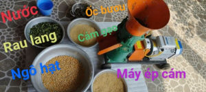 Hướng Dẫn Cách Trộn Nguyên Liệu Làm Cám ChimCám Gà Tại Nhà