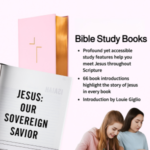 Bible Study Guide Book: A Complete Introduction to All 66 Books of the Bible for Beginners Pink Sacred Book