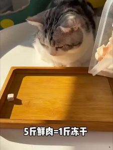 [SG] Wholesale Large‑Bucket Cat Treats 100% Pure MeatSnacks for kitten Dogs