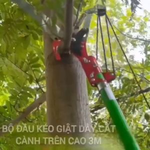 Đầu kéo tỉa cành cắt cành cây trên caohái quả  kết hợp cưa cành lưỡi thép SK5