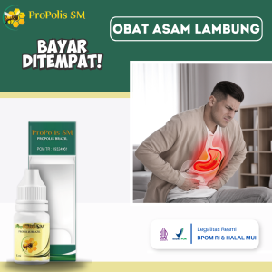Obat Asam Lambung Obat Sakit Lambung Obat Lambung Kronis Obat Magh Gerd Infeksi Lambung Radang Lambung Obat Asam Lambung Naik Pereda Nyeri Lambung Nyeri Ulu Hati Dengan Propolis SM