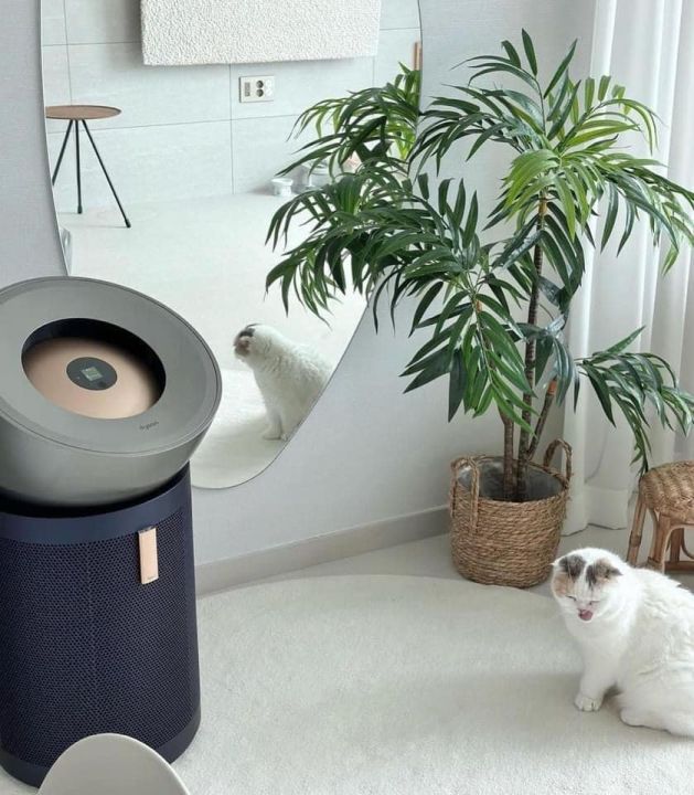 MÁY LỌC KHÔNG KHÍ DYSON PURIFIER BIG + QUIET FORMALDEHYDE BP03