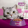 WHISKAS Wet Cat Food for Kitten Mackerel Flavor Pouch 80g (6-Pack). 
