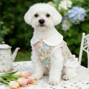 ER52858 Breathable Dog Princess Dress Ruffle Floral Printed Dog Floral Skirt Cute Cartoon Rabbit Dog Vest Dogs Cats