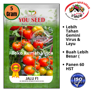 Benih Bibit Tomat Besar Tahan Virus JALU F1 5g You Seed Tahan Virus