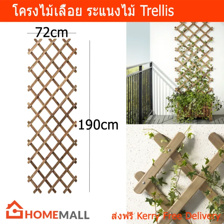 โครงไม้เลื้อยไม้ Home Mall ขนาด 72x190ซม. สำหรับระแนงบังตา