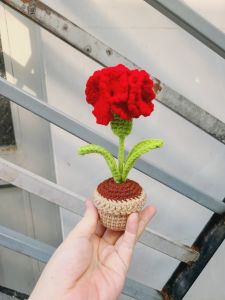 Chậu hoa mini bằng len làm quà tặng quà sinh nhật trang trí bàn học bàn làm việc