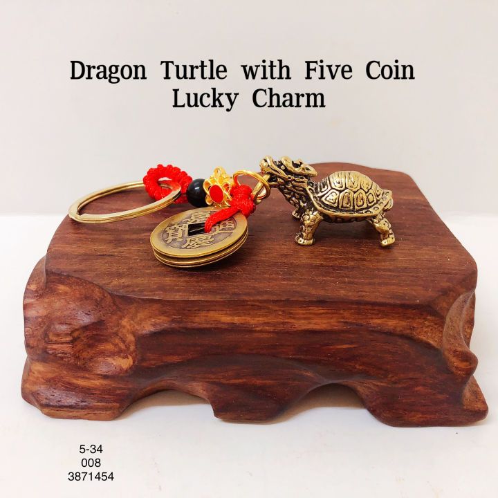 Fengshui Dragon Turtle Tortoise Turtoise with Five Coin Lucky Charm