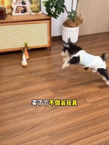 Interactive Cat Wobble Toy with Feather Bell Self Righting Pet Toy for Cats Puppy Christmas Gift