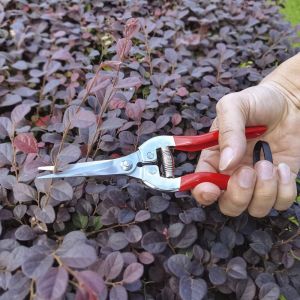 IUYJN For Plants Trimmer Pruning Snips Leaf Gardening Florist Garden Tools Garden Pruning Shears Hand Pruner