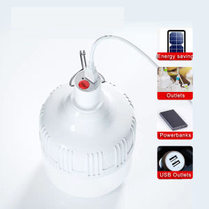 USB Light Bulb BUY ONE TAKE ONE Portable Emergency Rechargeable Light Bulb 20/40/60watts Camping lighting lamp lights