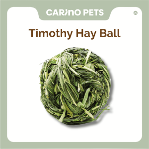 [24HR SHIP] NATURAL TIMOTHY BALL Small Pets Chew Toys Molar Toys Rabbit Guinea Pig Chinchilla Timothy Bola Jerami 兔子 天竺鼠 龙猫
