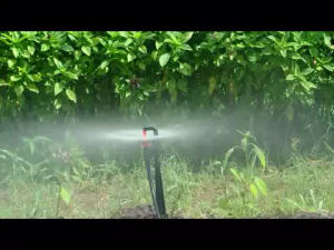 ชุดมินิสปริงเกอร์ superproduct 150-200L/H