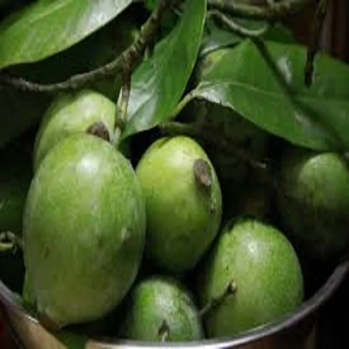 C%C3%82Y%20QU%E1%BA%A2%20D%E1%BB%8CC%20N%E1%BA%A4U%20CANH%20CHUA%20-%20Image%204