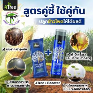 4Treeของแท้ โฟร์ทรี+บู๊สเตอร์ คู่หูพลังคูณ 4 สารเพิ่มประสิทธิภาพอินทรีย์ธรรมชาติแท้สูตรอิออน ช่วยเร่งขยายราก พืชโตเร็ว เขียวทน เขียวนาน เพิ่ม%แป้ง เพิ่มน้ำยาง นวัตกรรมใหม่จากอิสราเอล ใช้ได้กับพืชทุกชนิด 1 ชุดใช้ได้ 20 ไร่ ของแท้ 100%