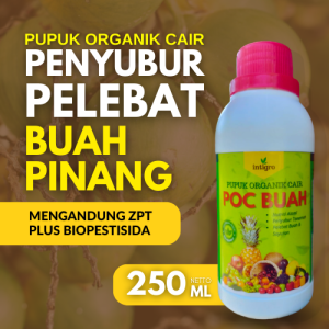 Pupuk Pinang Agar Cepat Berbuah / Pupuk Booster Pinang / Pupuk Untuk Tanaman Pinang Pelebat Buah