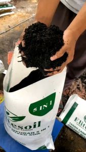 5 Kg Tanah Organik ELITE SOIL 5 in 1 (Repack)