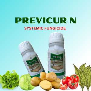 PREVICURN - SYSTEMIC FUNGICIDE