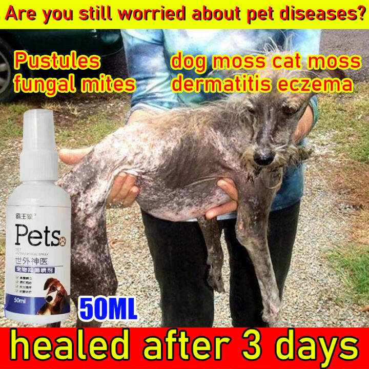 Overlord Wolf anti mange for dogs 50ML For the treatment of leprosy, fungi, yeast, rashes, various skin diseases Pet Spray for skin allergy treatment mange treatment dog medicine for skin disease galis dog skin disease treatment