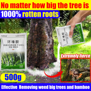 1000% rotten roots tree killer racun pokok paling kuat The roots rotted in 1 day No damage to soil racun rumput paling kuat cepat mati racun pokok kayu besar 100% effective root killing Hexazinone herbicide racun rumput mati akar weed killer 除草剂 灭树粉